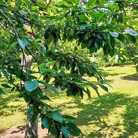 An Der Eine-1 By Interhome Appartamento Stangerode