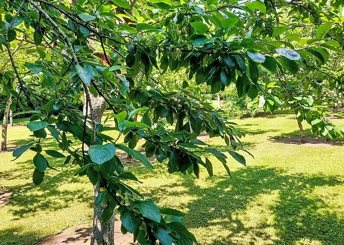 An Der Eine-1 By Interhome Apartment Stangerode